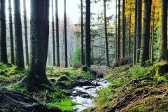 IMG_20190218_164048_313